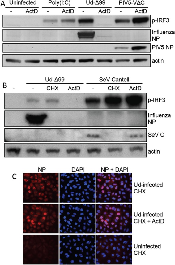 FIG 4