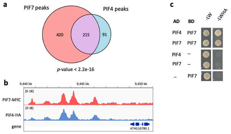 Extended Data Fig. 6