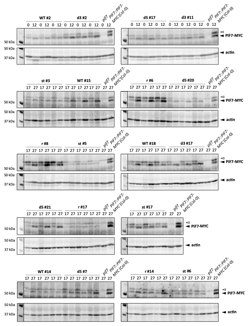 Extended Data Fig. 8