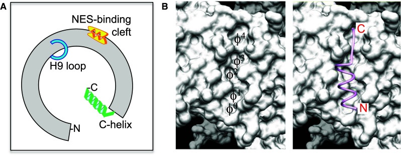 Fig. 1