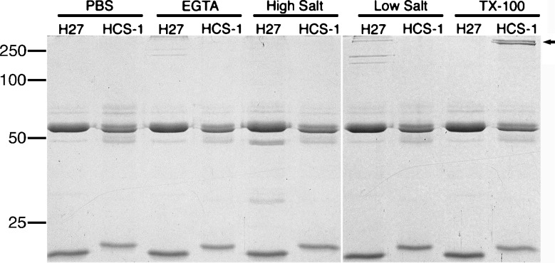 FIG. 9