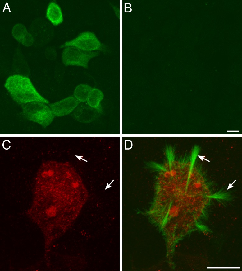 FIG. 3