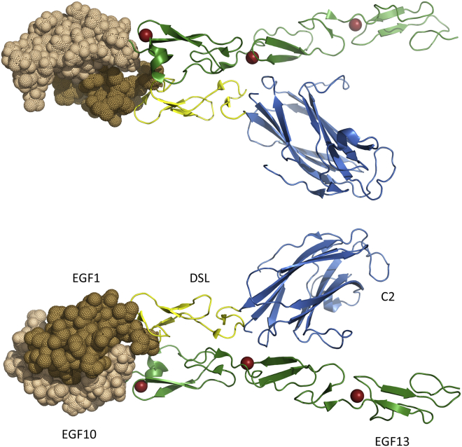 Figure 5