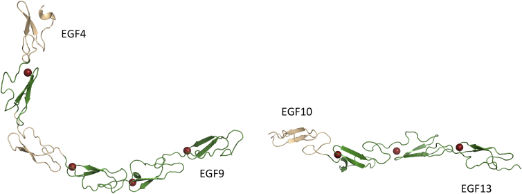 Figure 4