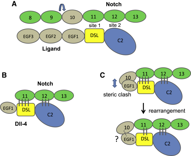 Figure 7