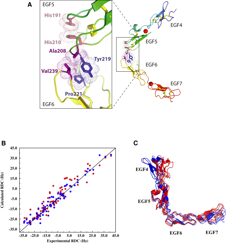 Figure 2