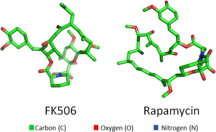 FIGURE 1