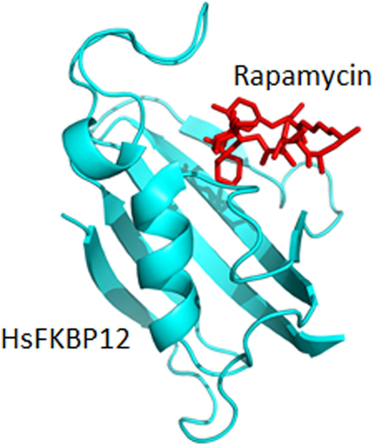 FIGURE 4