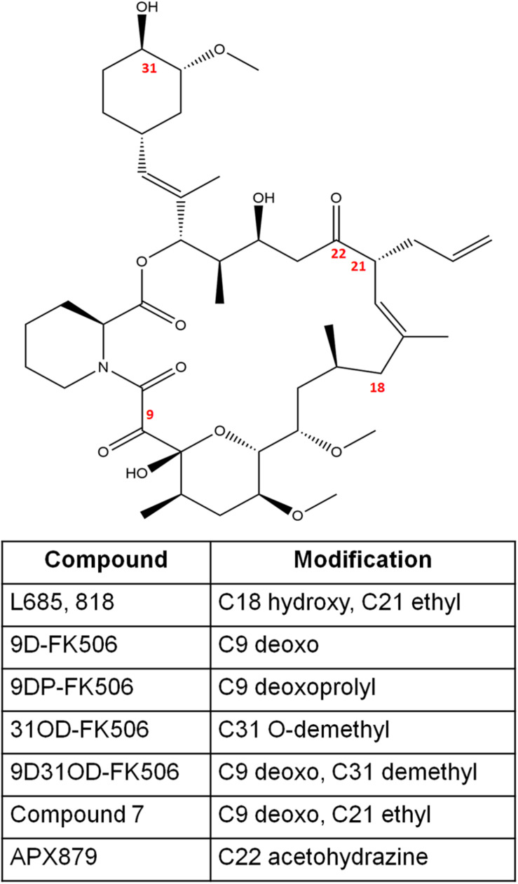 FIGURE 2