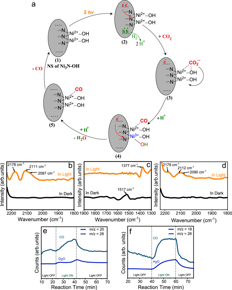 Fig. 10