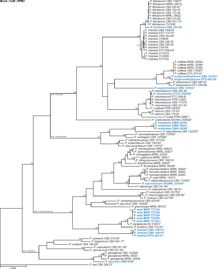 Fig. 17