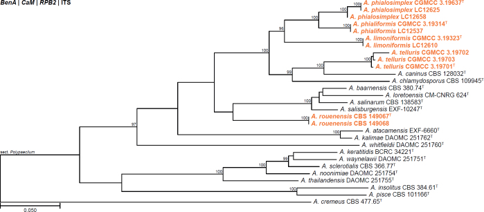 Fig. 11