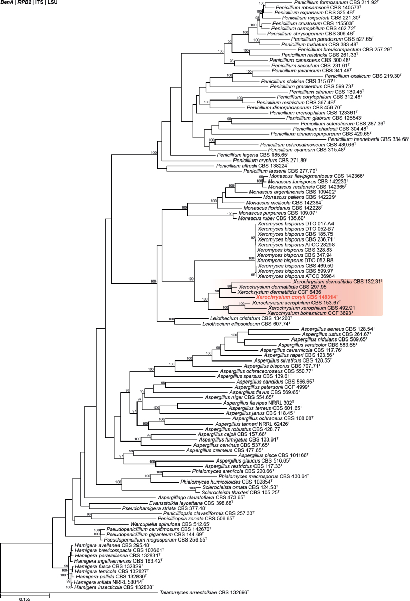 Fig. 16