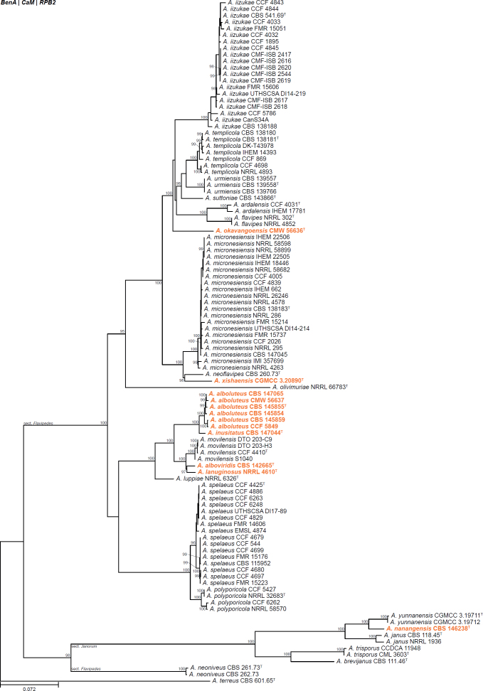 Fig. 7