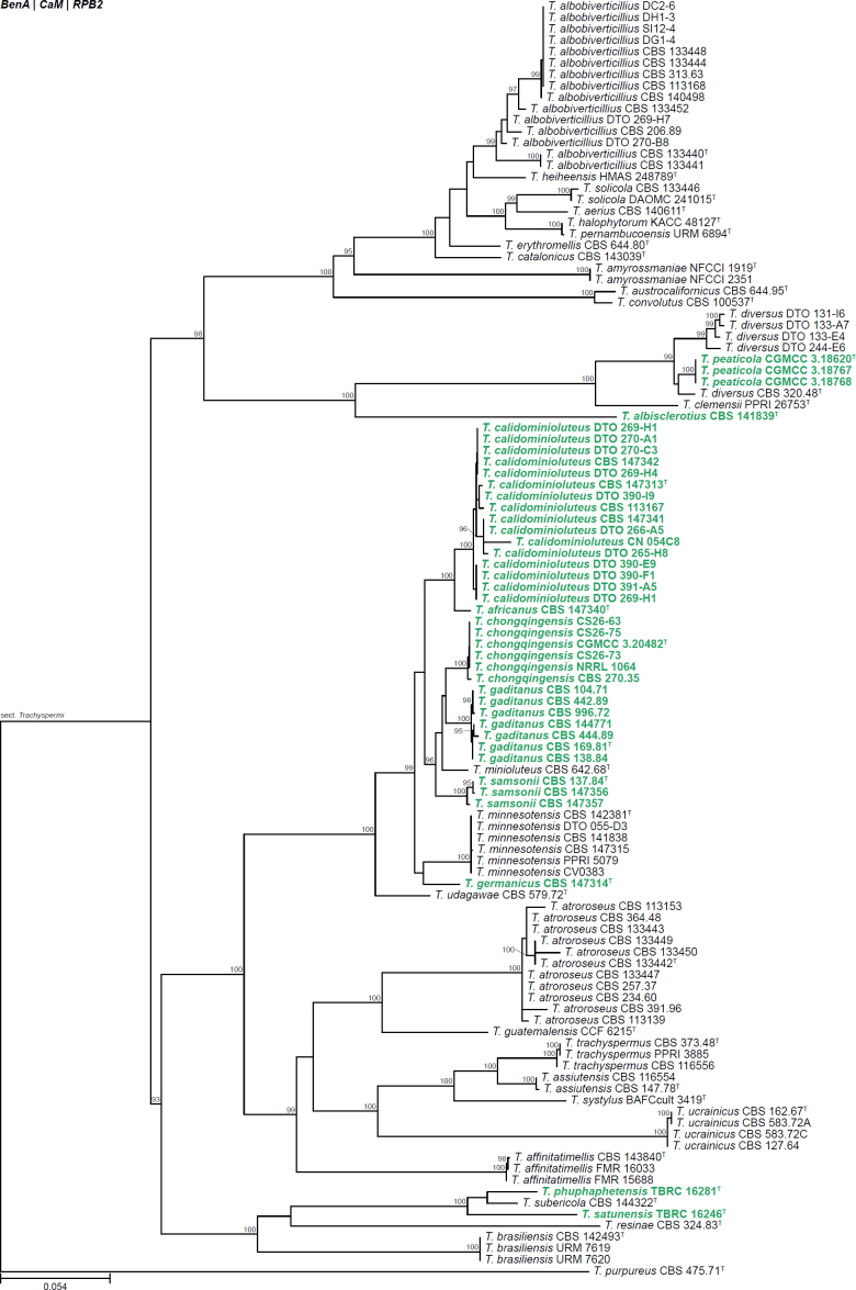 Fig. 33