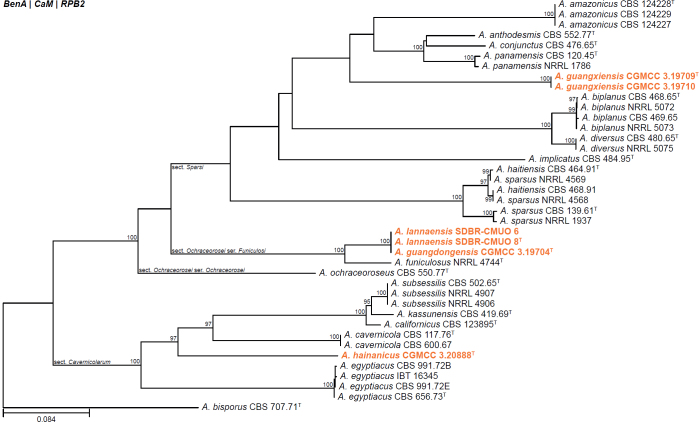 Fig. 3