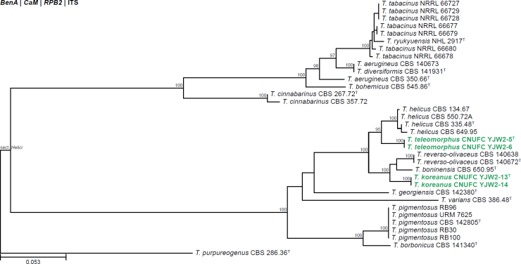 Fig. 29