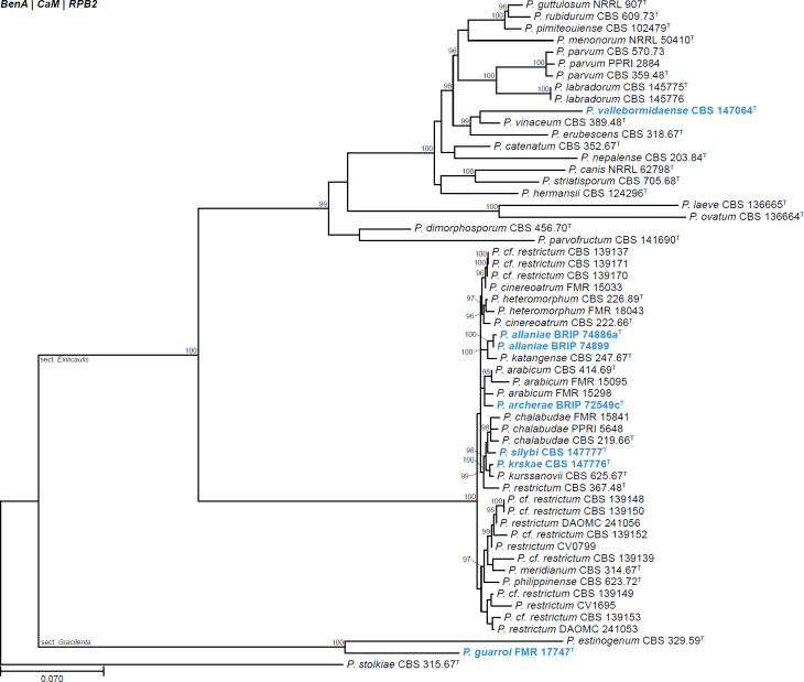 Fig. 23