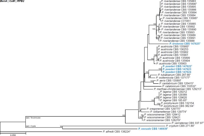 Fig. 22