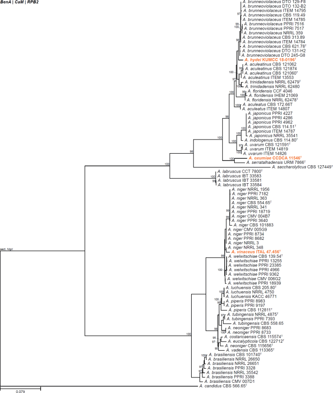 Fig. 10