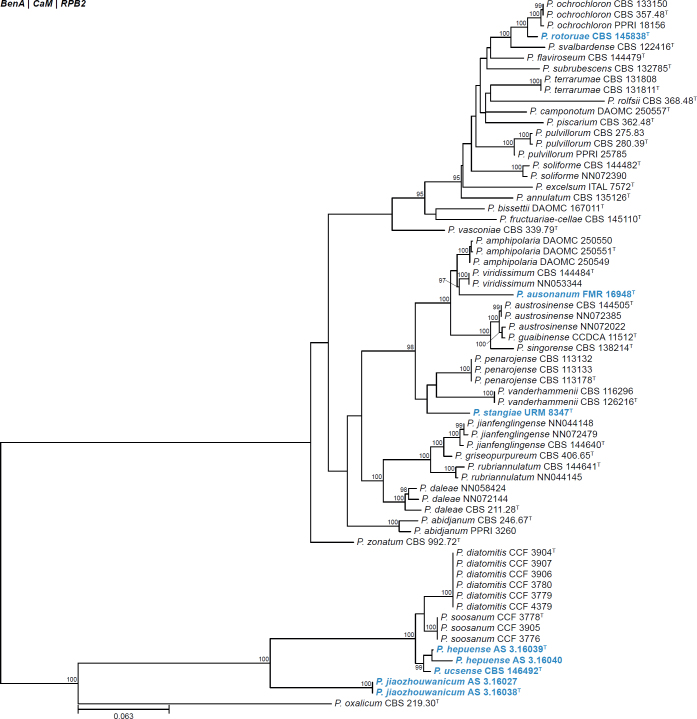 Fig. 25