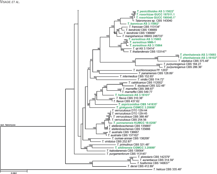 Fig. 31