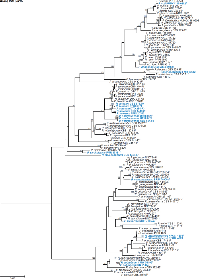 Fig. 24