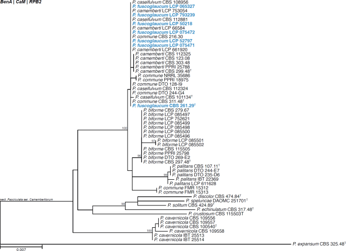 Fig. 19