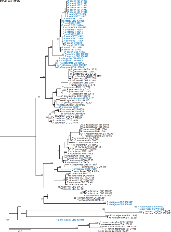 Fig. 20