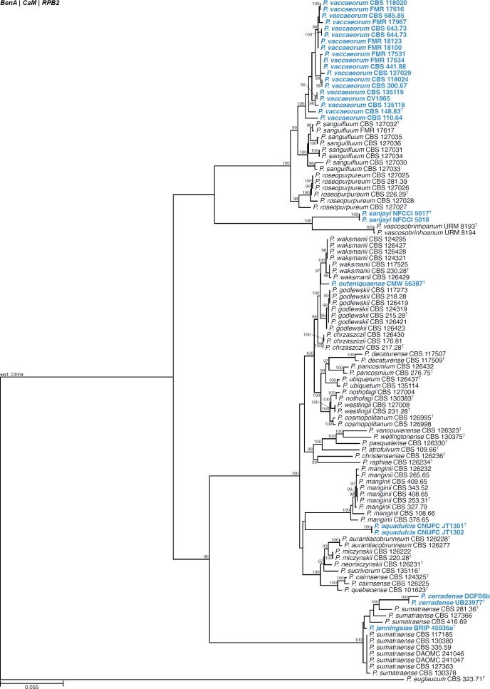 Fig. 21