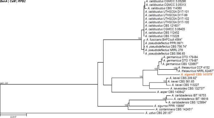 Fig. 13