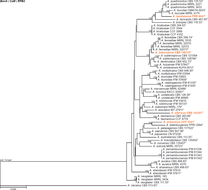 Fig. 8