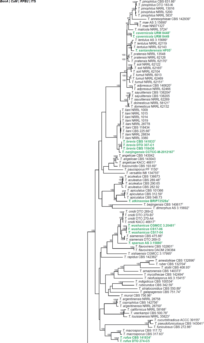 Fig. 31