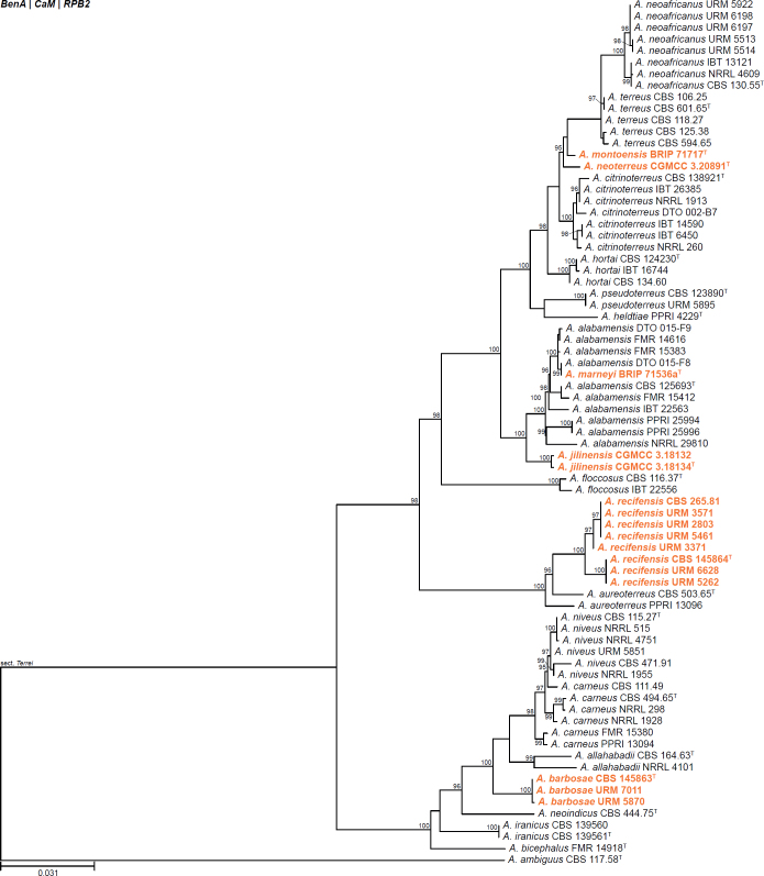 Fig. 12