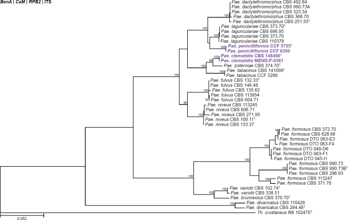 Fig. 15