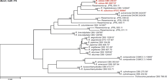 Fig. 28