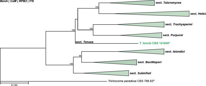 Fig. 32