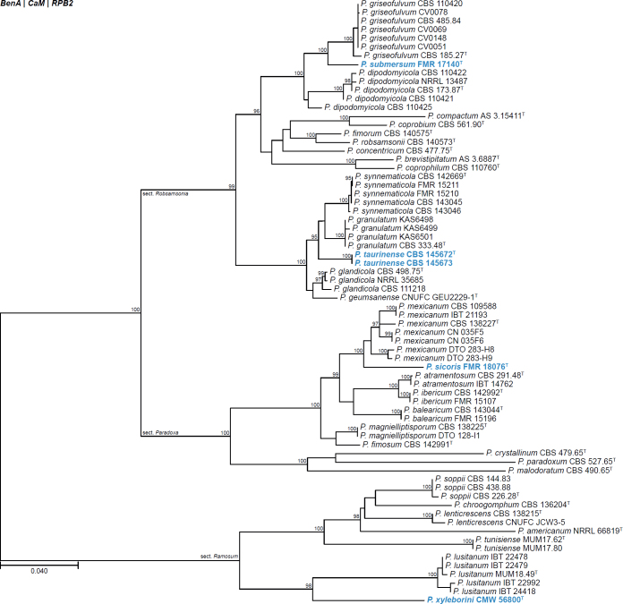 Fig. 26