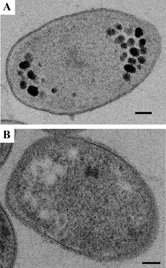 FIG 5