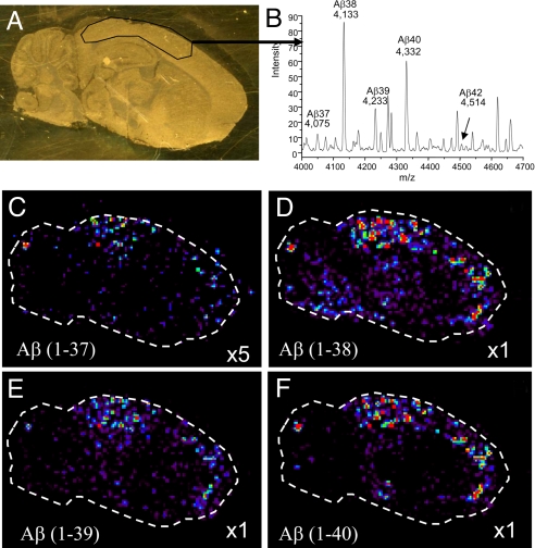 Fig. 3.