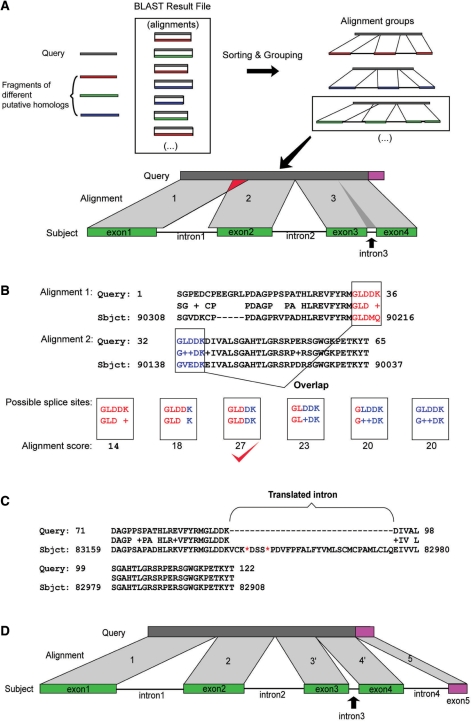 Figure 4.