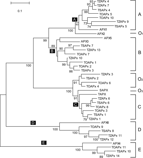 Figure 7.