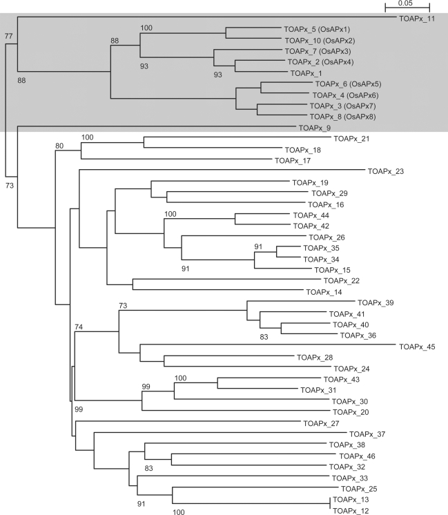 Figure 6.