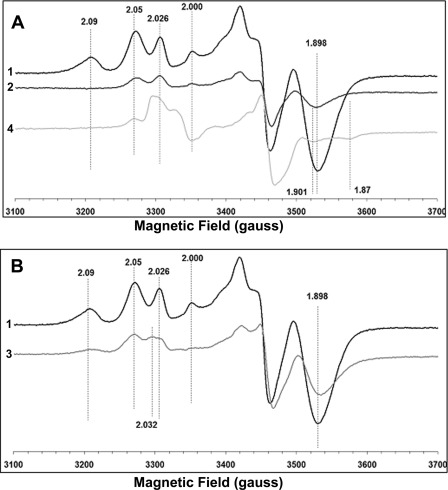 FIGURE 7.