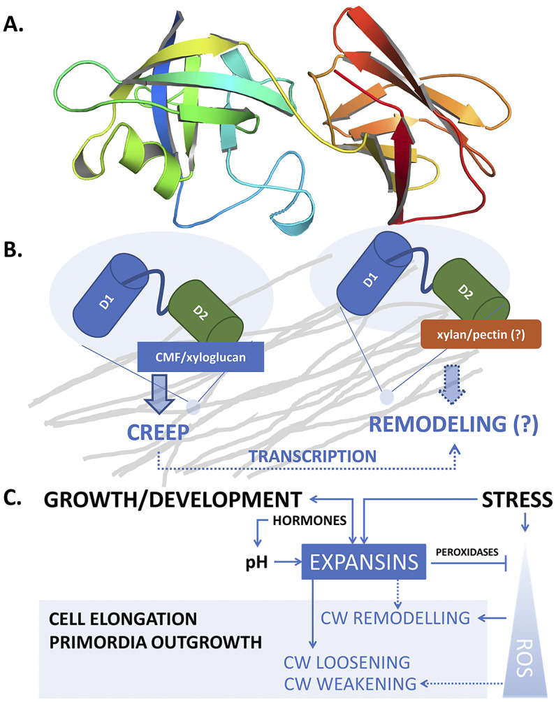 Fig. 1.