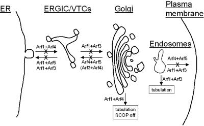 Figure 9.