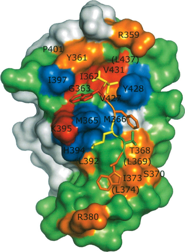 Figure 4.