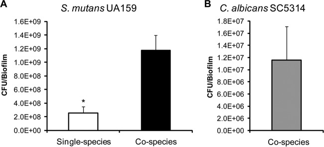 FIG 2