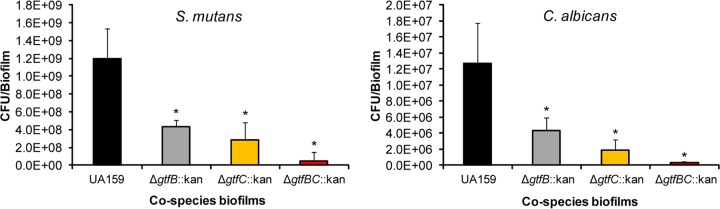 FIG 6