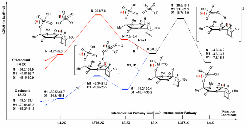 Figure 7.